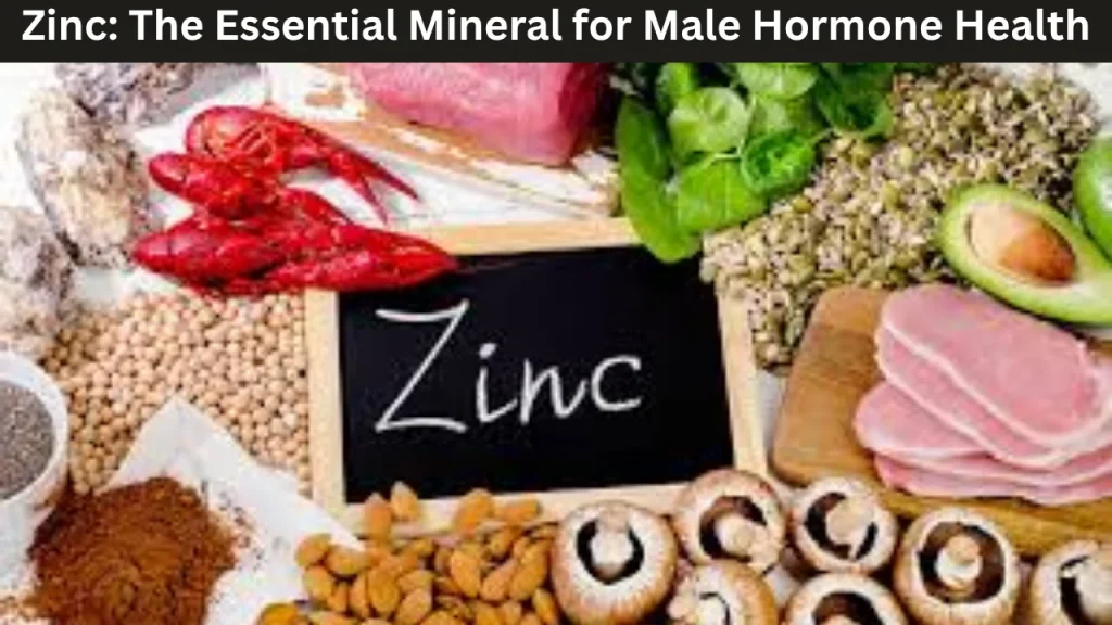 How Each Ingredient in Hammer of Thor Affects Male Performance and Zinc: The Essential Mineral for Male Hormone Health