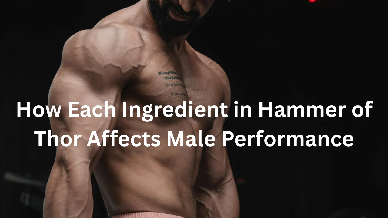 How Each Ingredient in Hammer of Thor Affects Male Performance