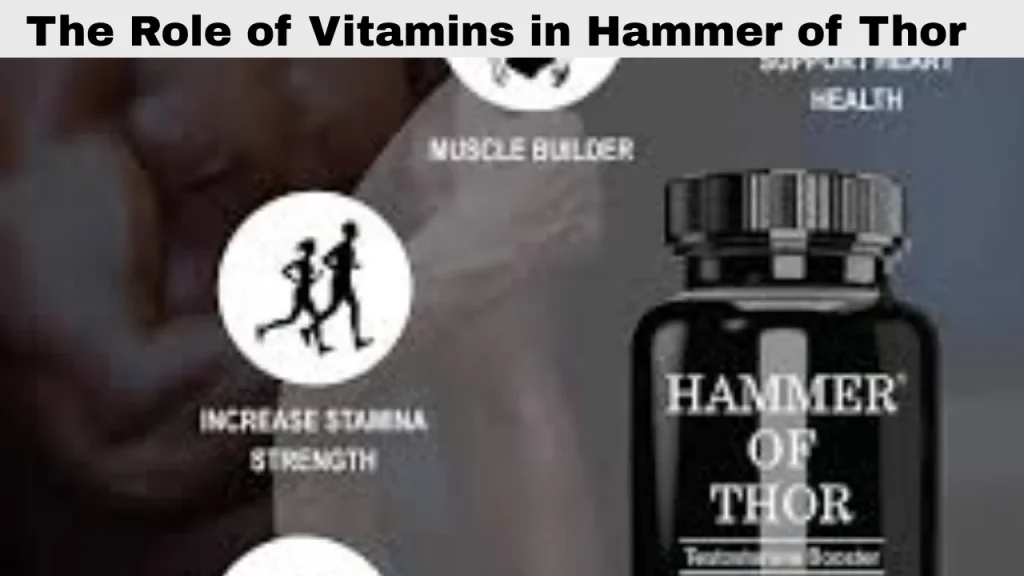 How Each Ingredient in Hammer of Thor Supports Men’s Health aand The Role of Vitamins in Hammer of Thor