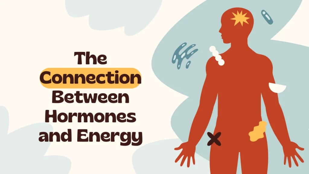 Improved Stamina and Energy Levels How Hammer of Thor Helps and The Connection Between Hormones and Energy