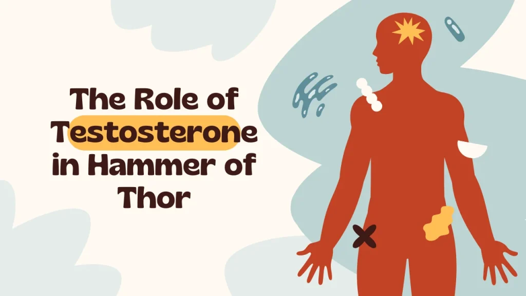 What Is Hammer of Thor and How Does It Work? and The Role of Testosterone in Hammer of Thor