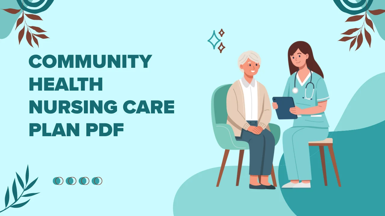 Community Health Nursing Care Plan PDF